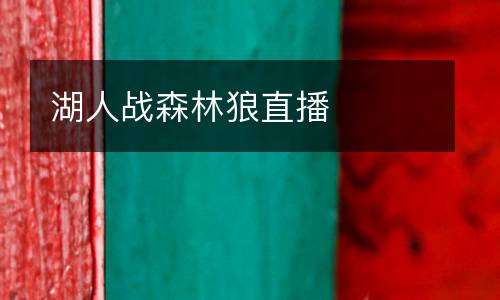 湖人戰森林狼直播