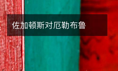 佐加頓斯對厄勒布魯