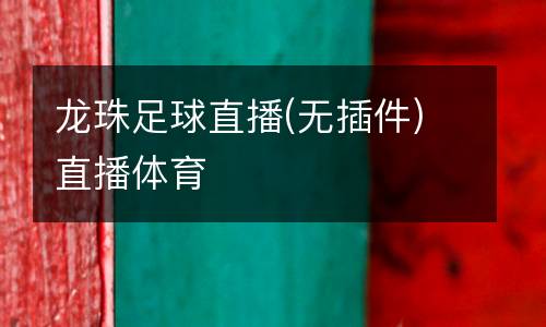 龍珠足球直播(無插件)直播體育