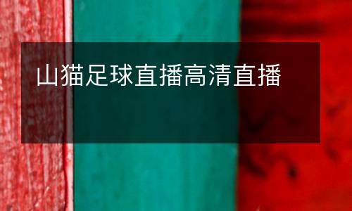 山貓足球直播高清直播