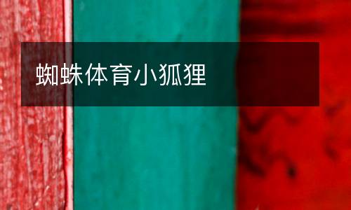 蜘蛛體育小狐貍