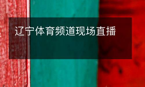 遼寧體育頻道現場直播